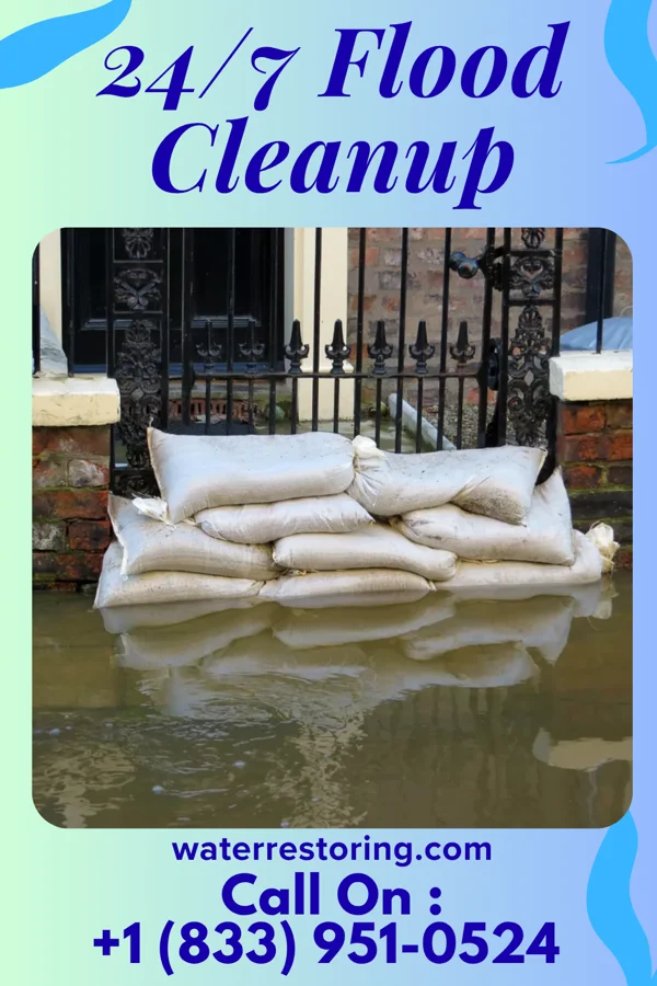 24/7 Flood Cleanup in Attapulgus, GA