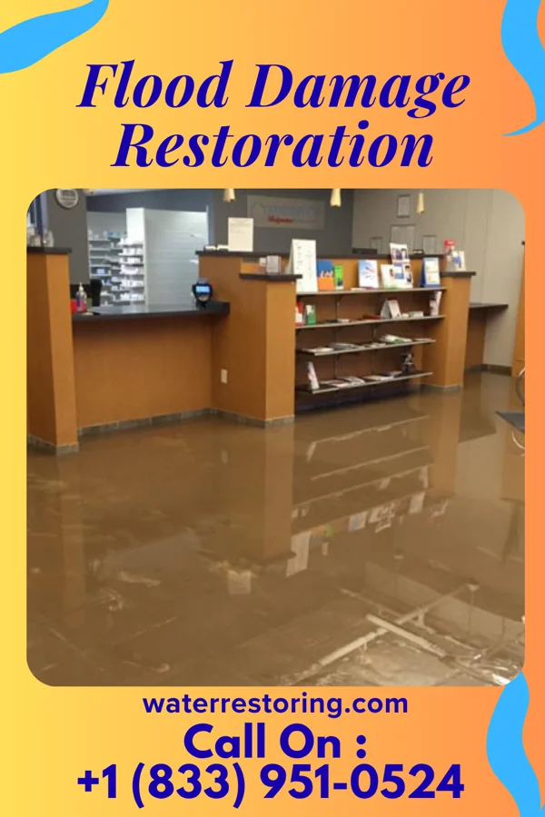 Flood Damage Restoration in Attapulgus, GA
