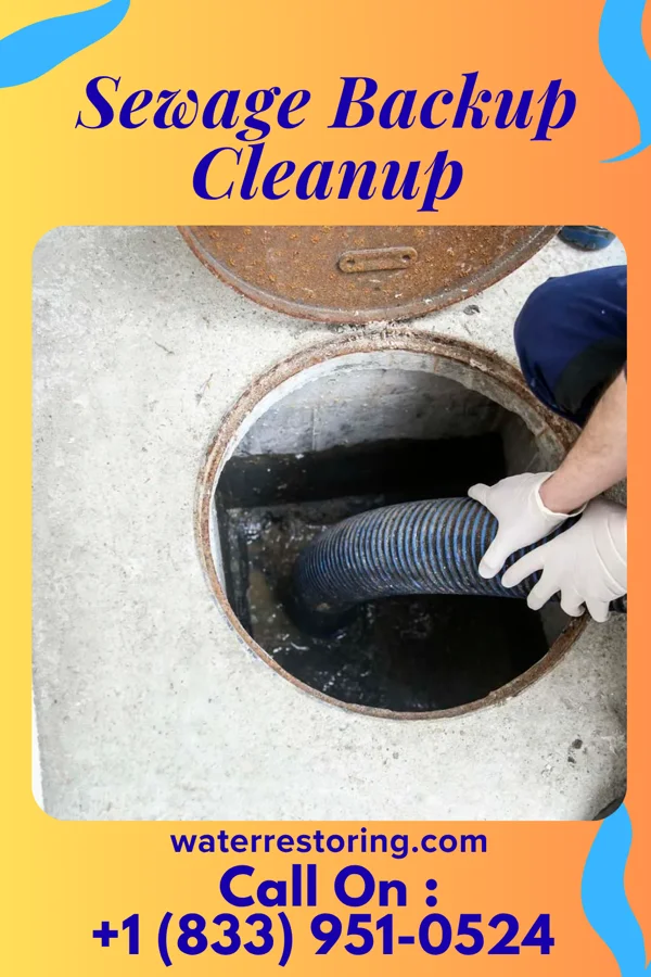Sewage Backup Cleanup in Attapulgus, GA