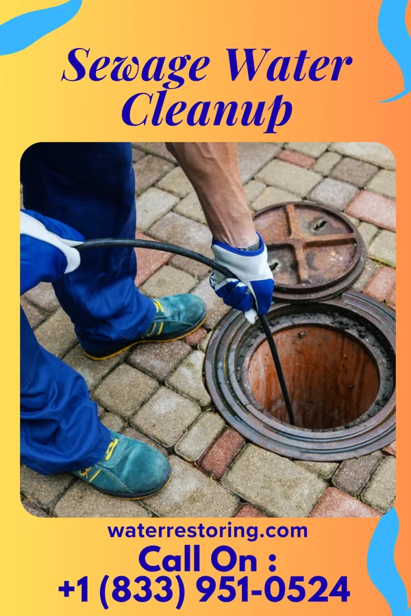 Sewage Water Cleanup in Attapulgus, GA
